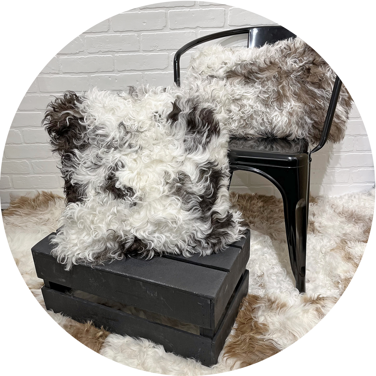 The Mood | Decorative Pillows Collections